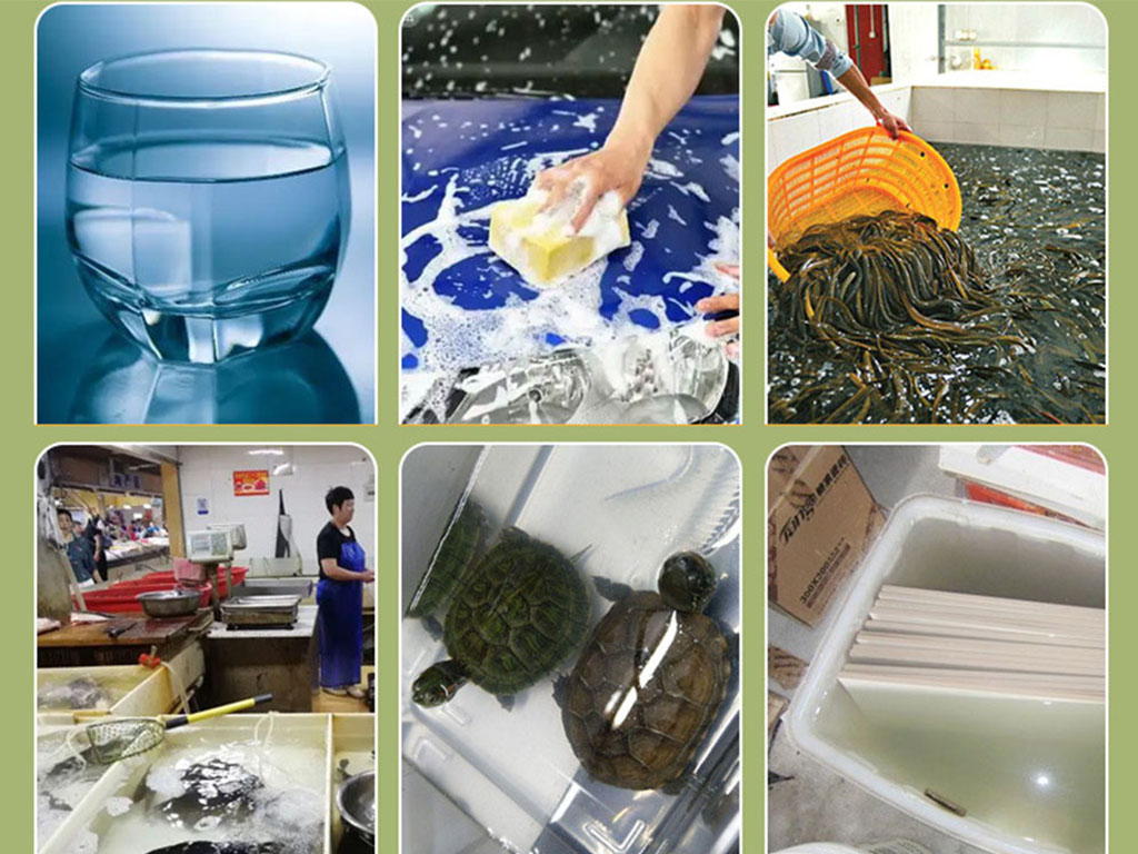 In-Use Photos｜Processing & Sorting Sites